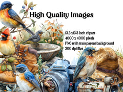 Bird Watching Clipart - CraftNest - Digital Crafting and Art