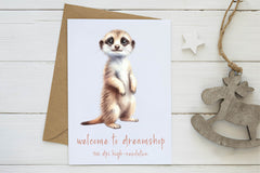 Curious Meerkat Clipart Bundle - CraftNest - Digital Crafting and Art