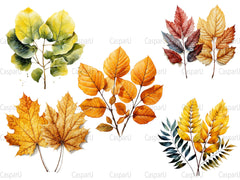 Autumn Leaves Collection Clipart - CraftNest