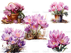 Colchicum Canvas Clipart - CraftNest