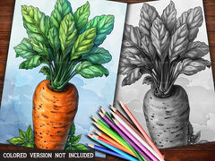 Carrot Coloring Books - CraftNest - Digital Crafting and Art