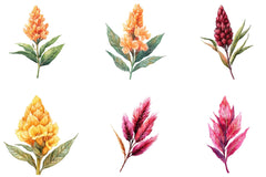 Celosia Flower Clipart Bundle - CraftNest - Digital Crafting and Art