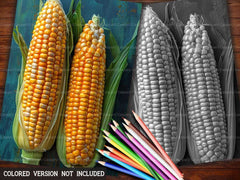 Corn Coloring Books - CraftNest - Digital Crafting and Art