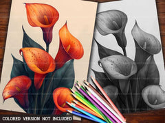 Flower Calla Coloring Books - CraftNest