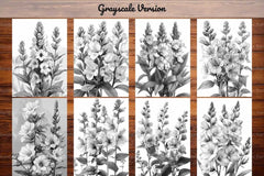 Flower Snapdragon Coloring Books - CraftNest