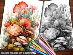 Sea Shell Coloring Books - CraftNest