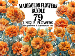 Marigolds Flowers Clipart - CraftNest - Digital Crafting and Art