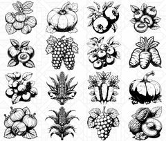 Autumn Fruits SVG Bundle - CraftNest - Digital Crafting and Art