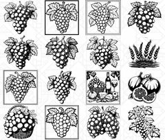 Mediterranean Fruits SVG Bundle - CraftNest - Digital Crafting and Art