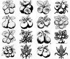 Autumn Fruits SVG Bundle - CraftNest - Digital Crafting and Art