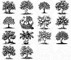 Fruit Trees SVG Bundle - CraftNest - Digital Crafting and Art