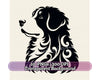 Bernedoodle