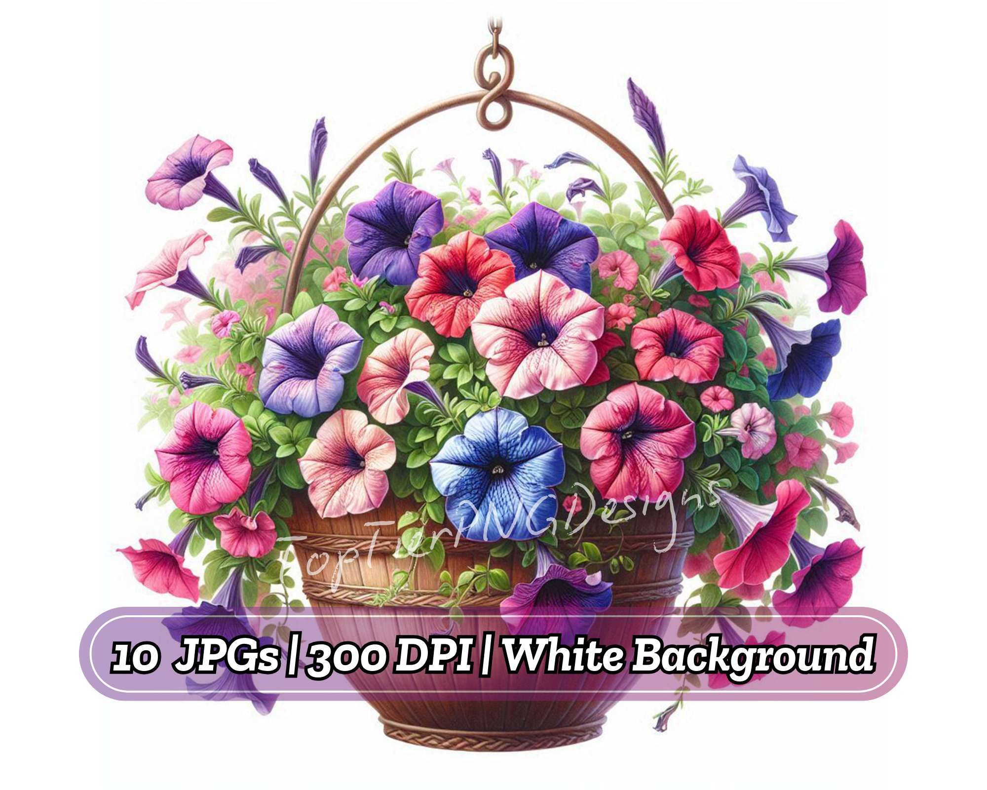 Flowers in Hanging Pots
