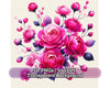 Hot Pink Roses
