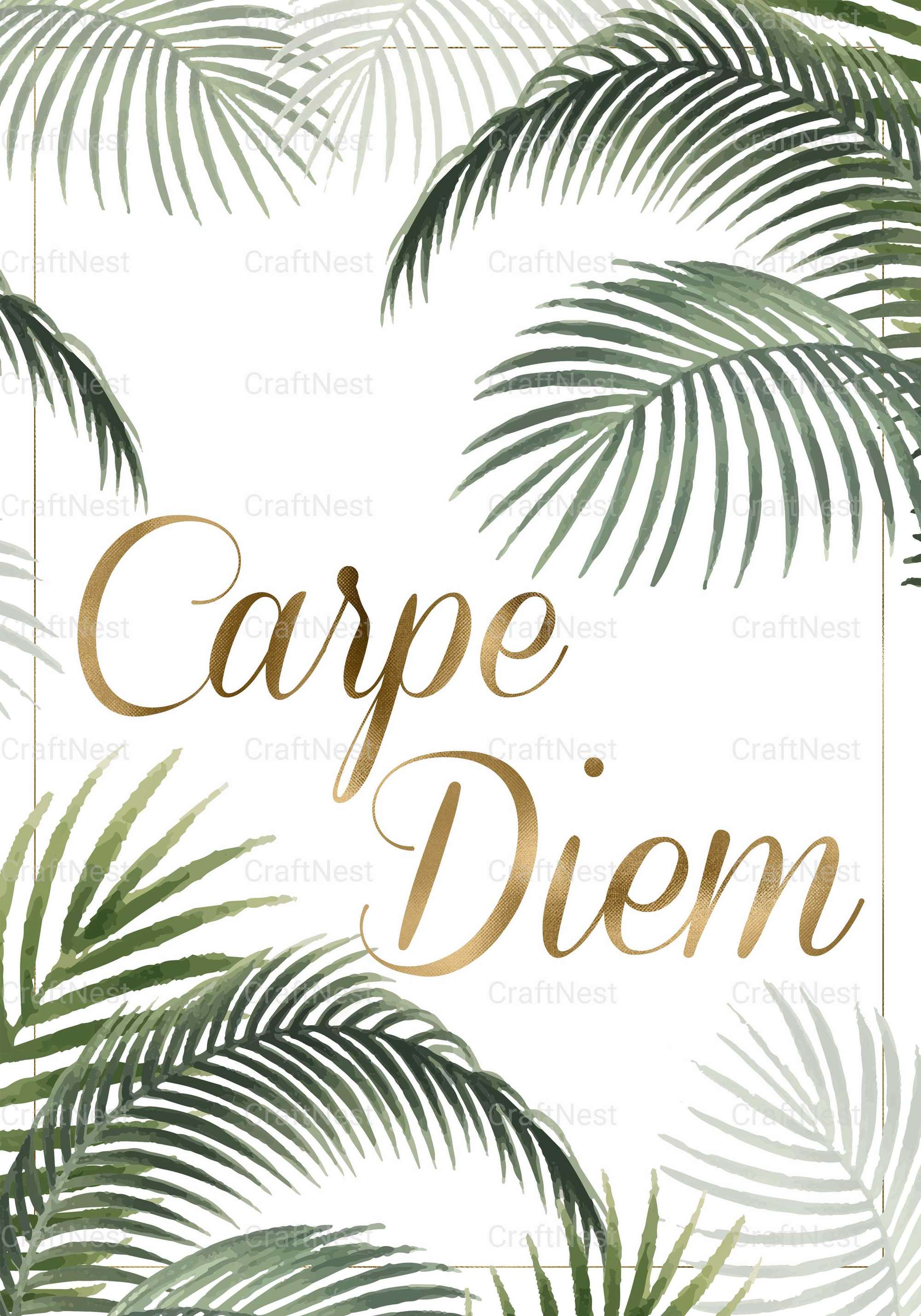 Carpe Diem Aesthetic Wall Art