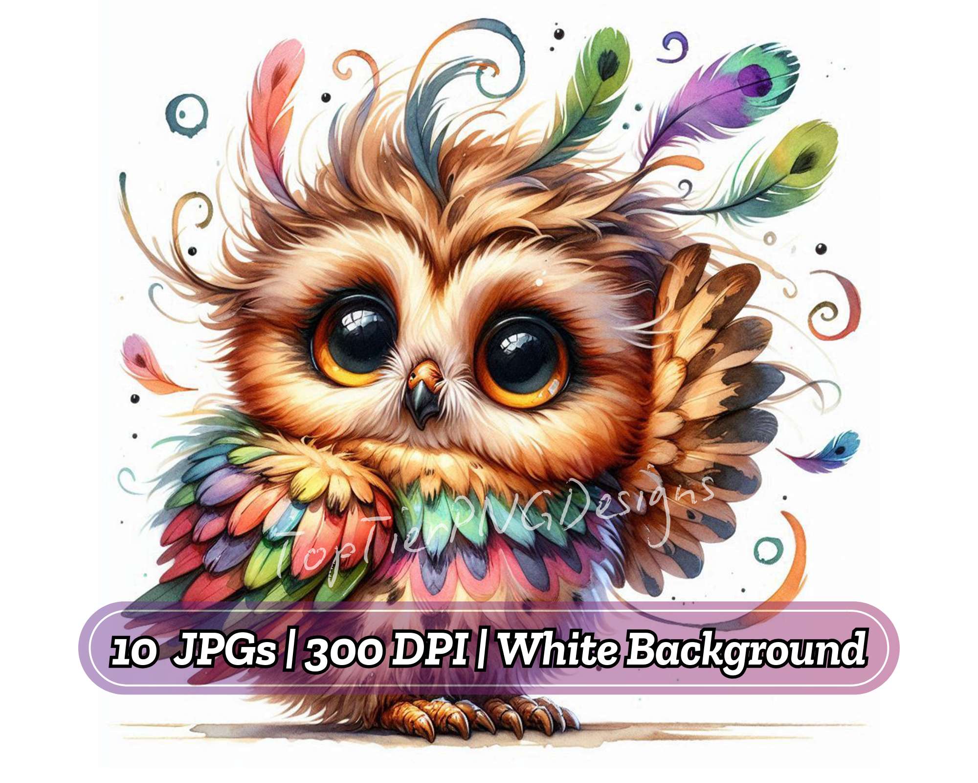 Quirky Owl