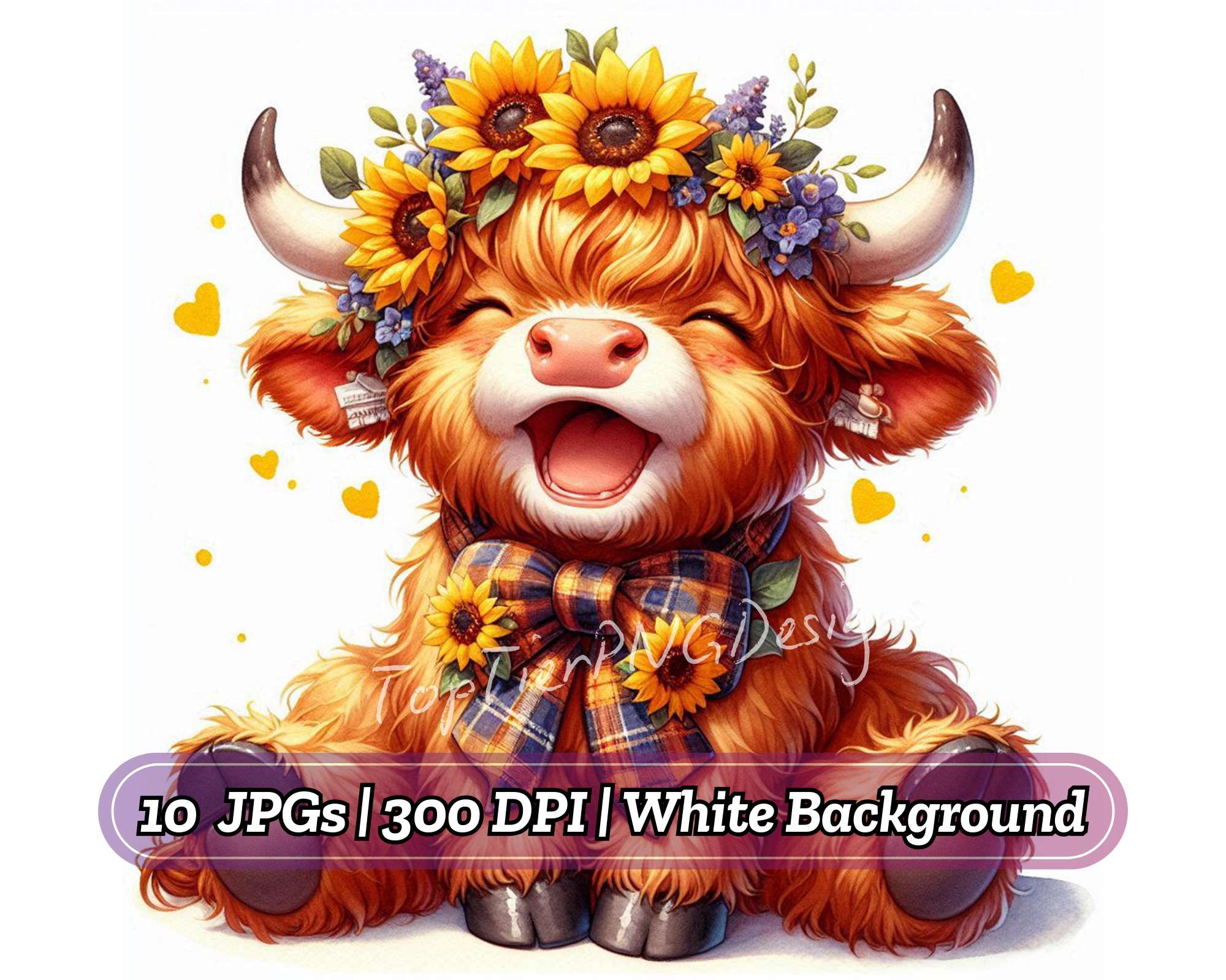 Sunflower Highland Cows Collection