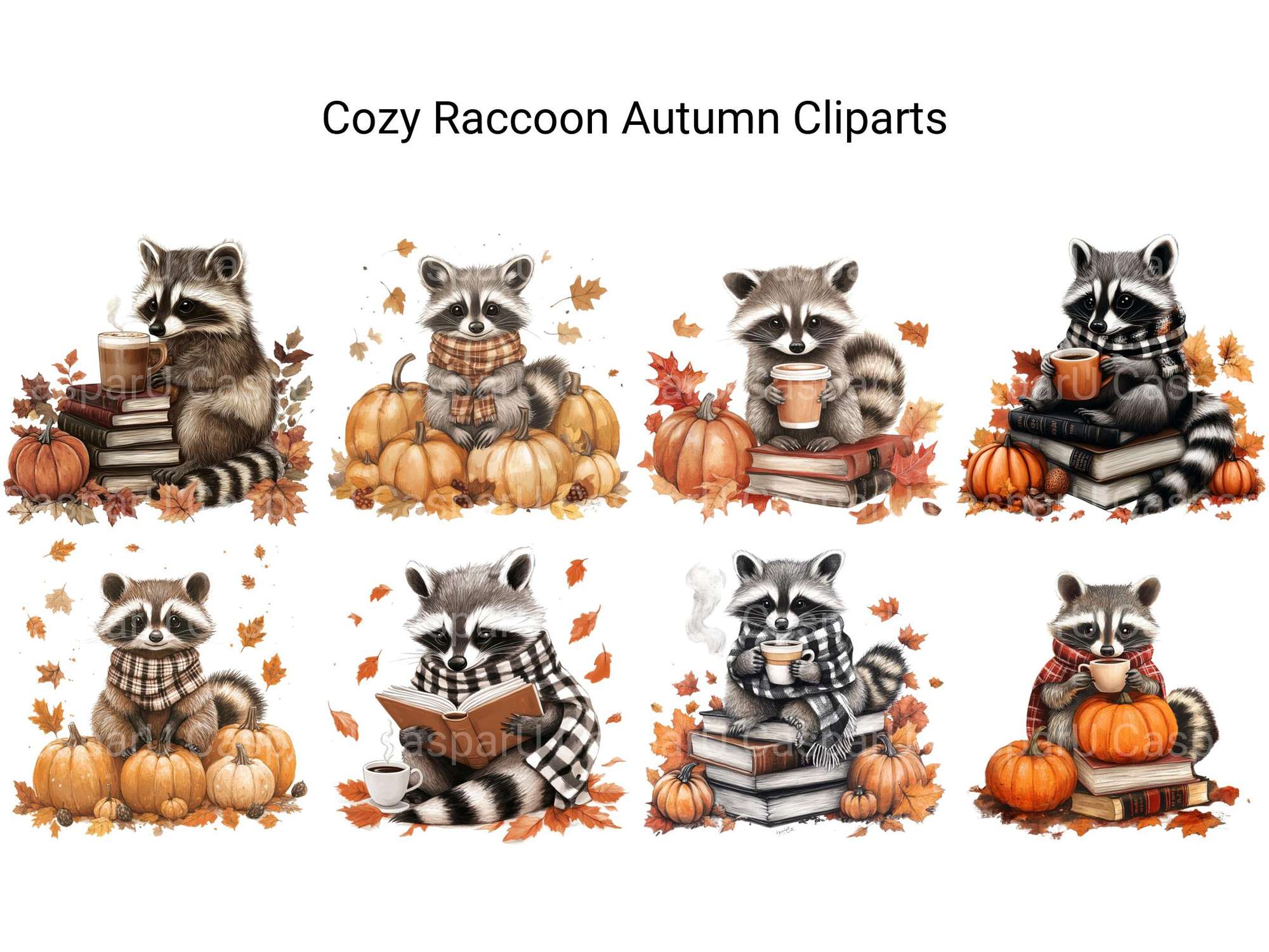 Cozy Raccoon Autumn Clipart