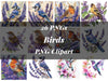 Birds Clipart