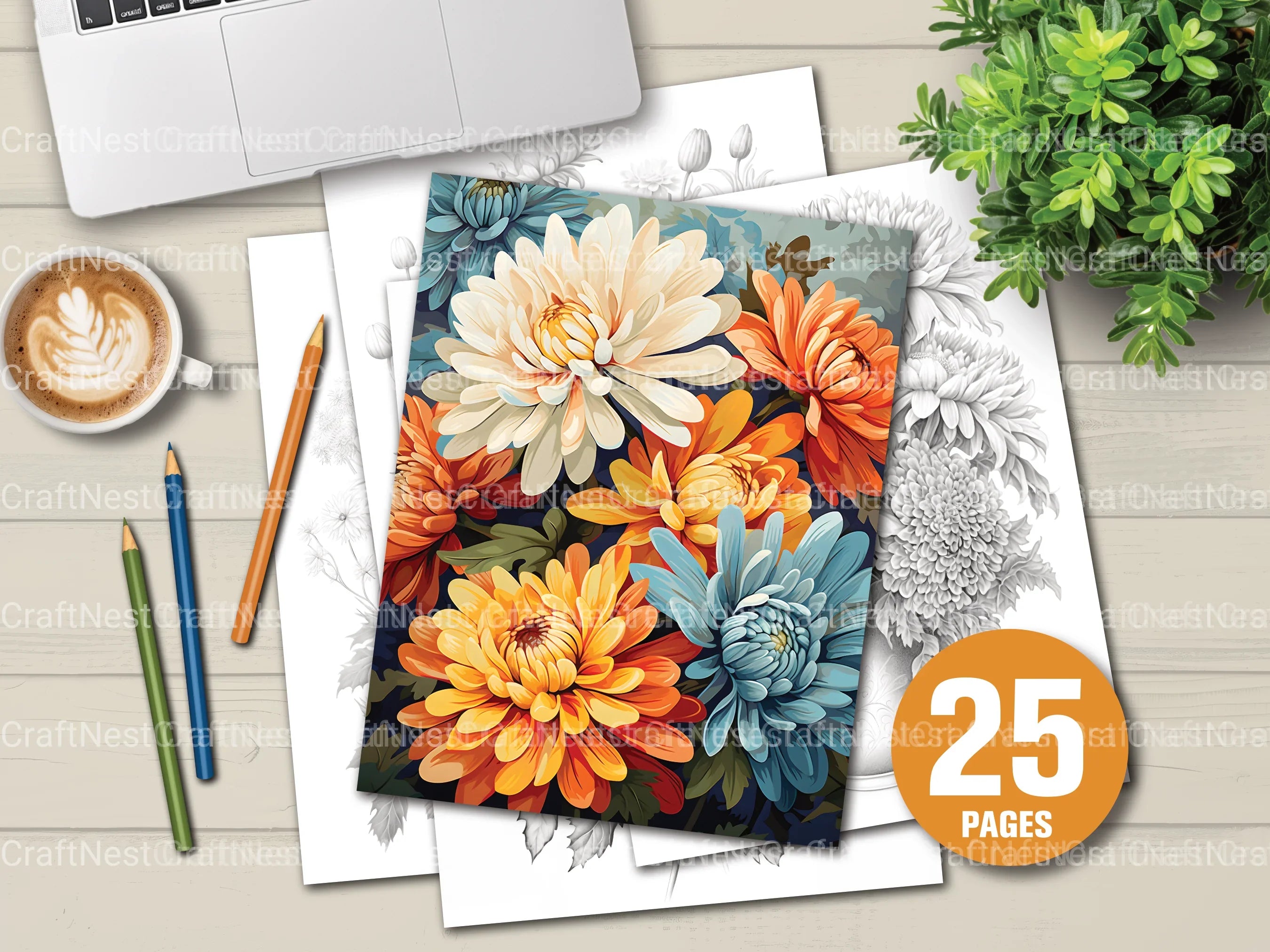 Chrysanthemum Flower Coloring Book - CraftNest - Digital Crafting and Art