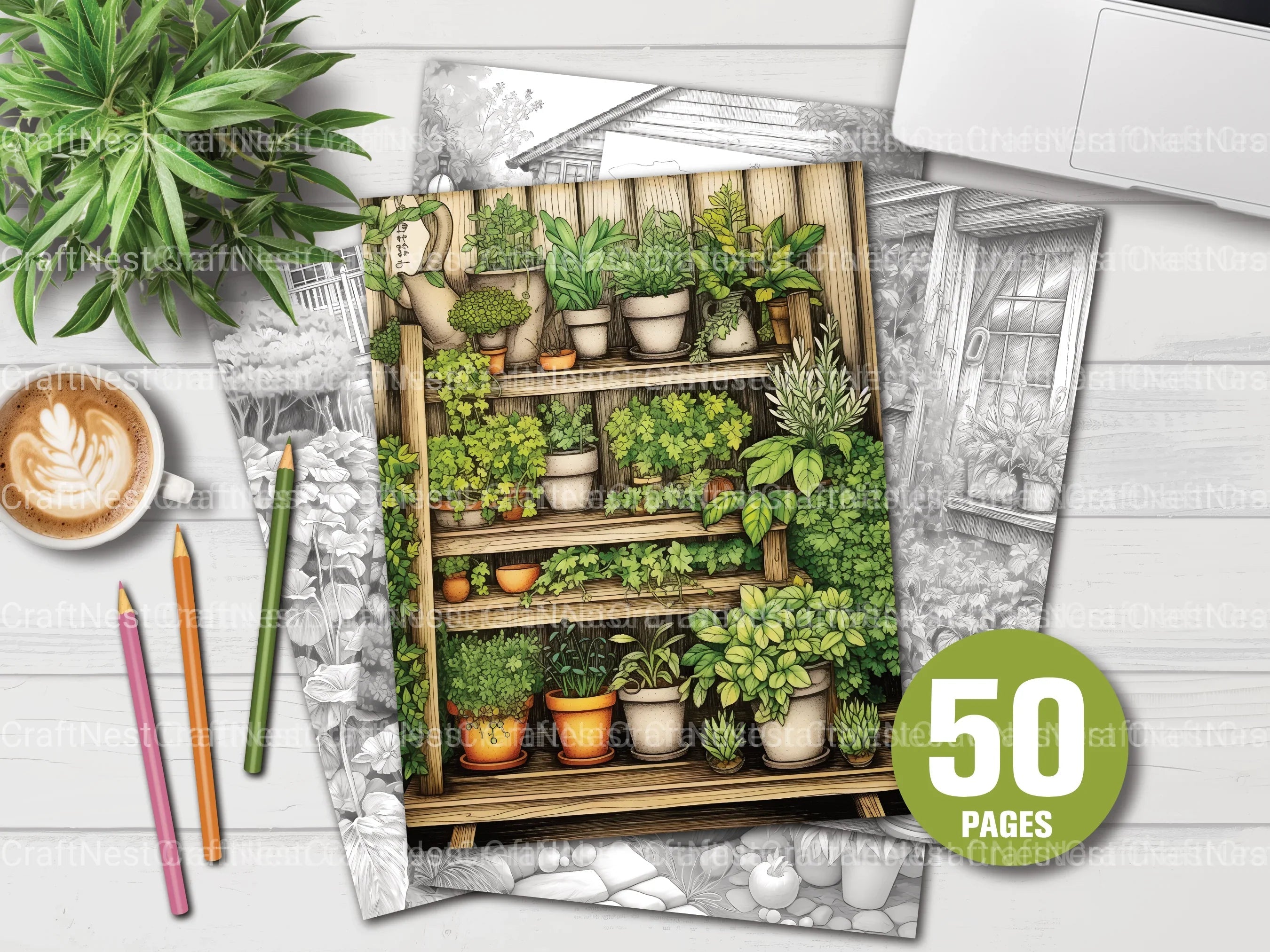 Herb Garden Coloring Book - CraftNest - Digital Crafting and Art
