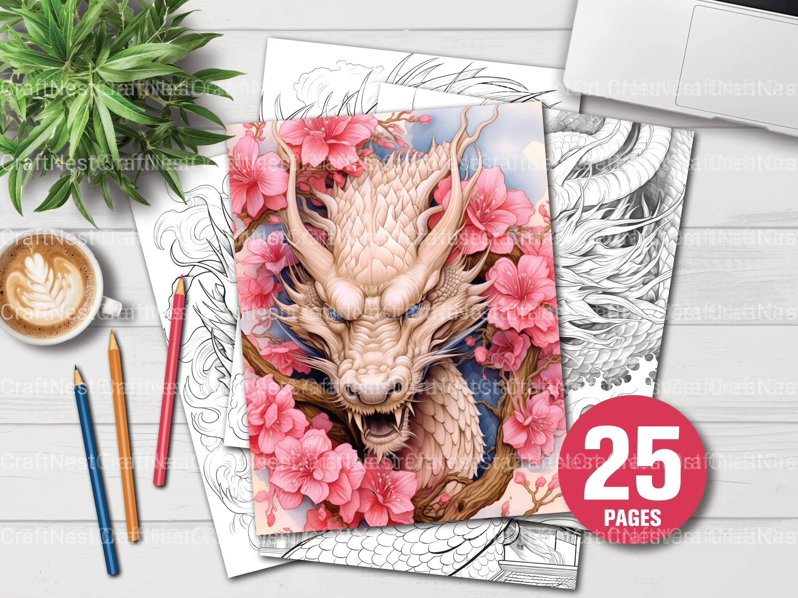 Dragon Coloring Book