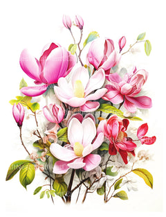 Magnolia Flower Coloring Book - CraftNest - Digital Crafting and Art