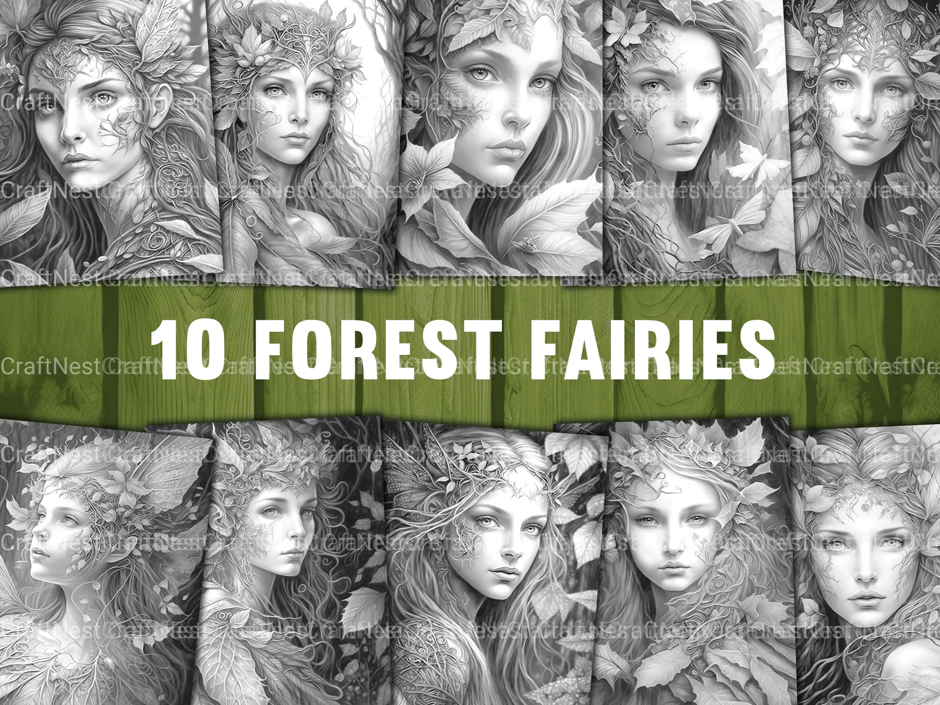 Forest Fairy Coloring Book
