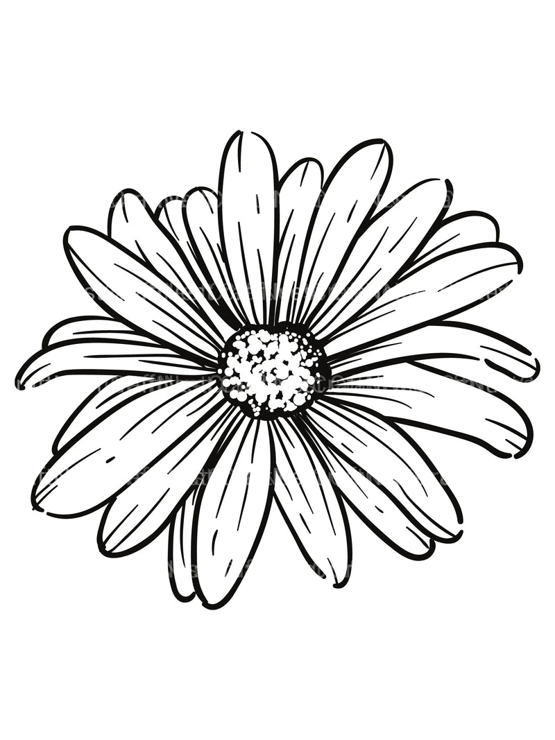 Floral Coloring Book - CraftNest - Digital Crafting and Art