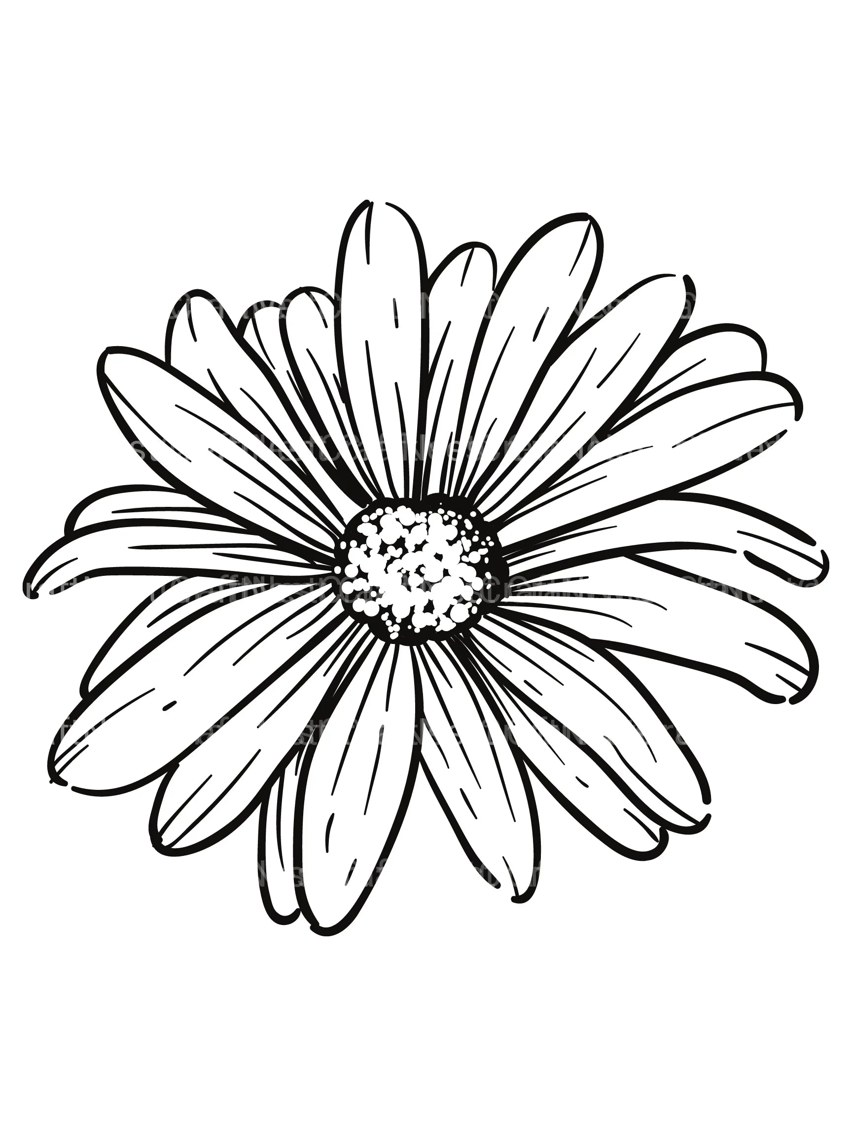 Floral Coloring Book - CraftNest - Digital Crafting and Art