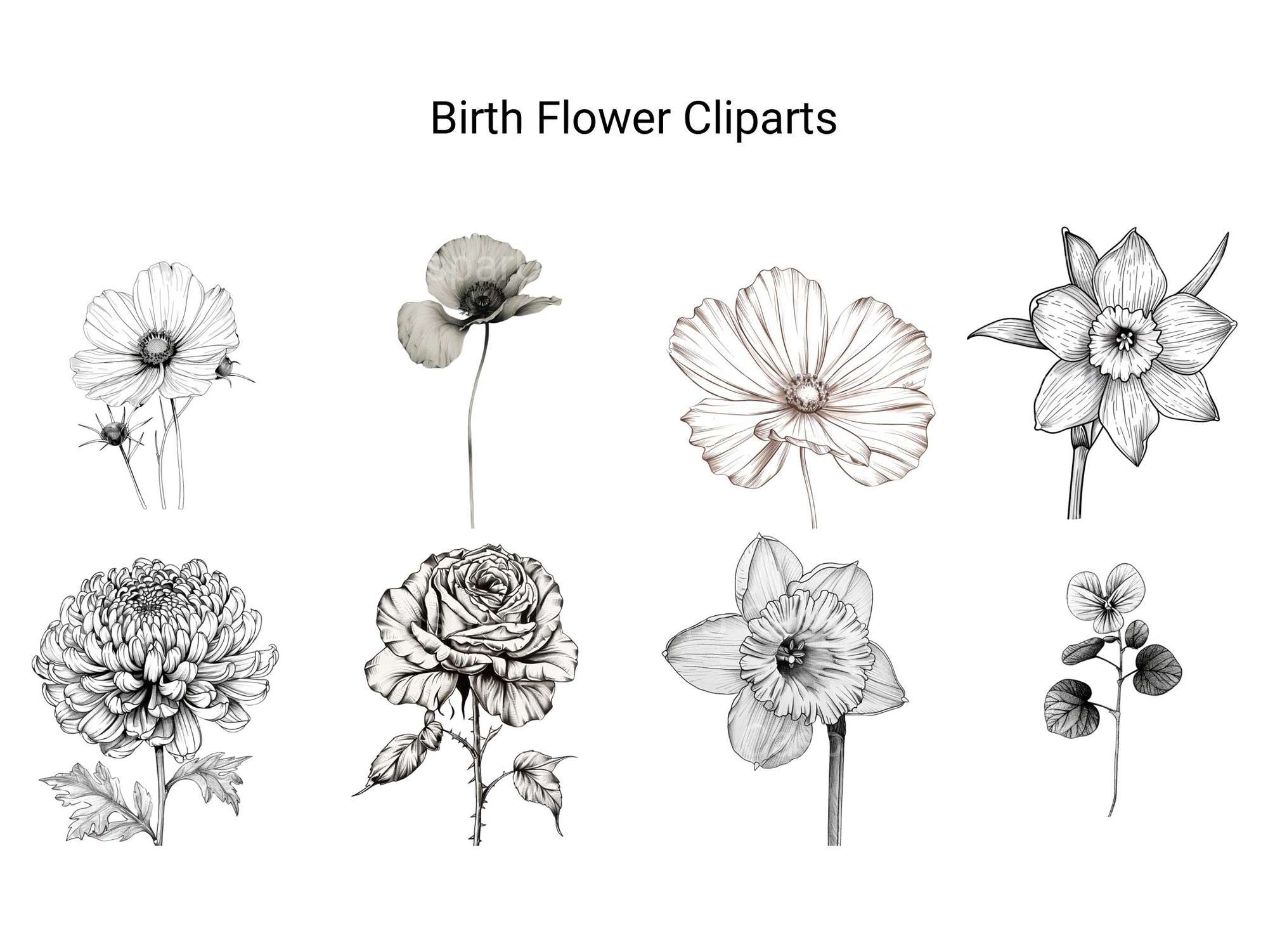 Birth Flower Clipart