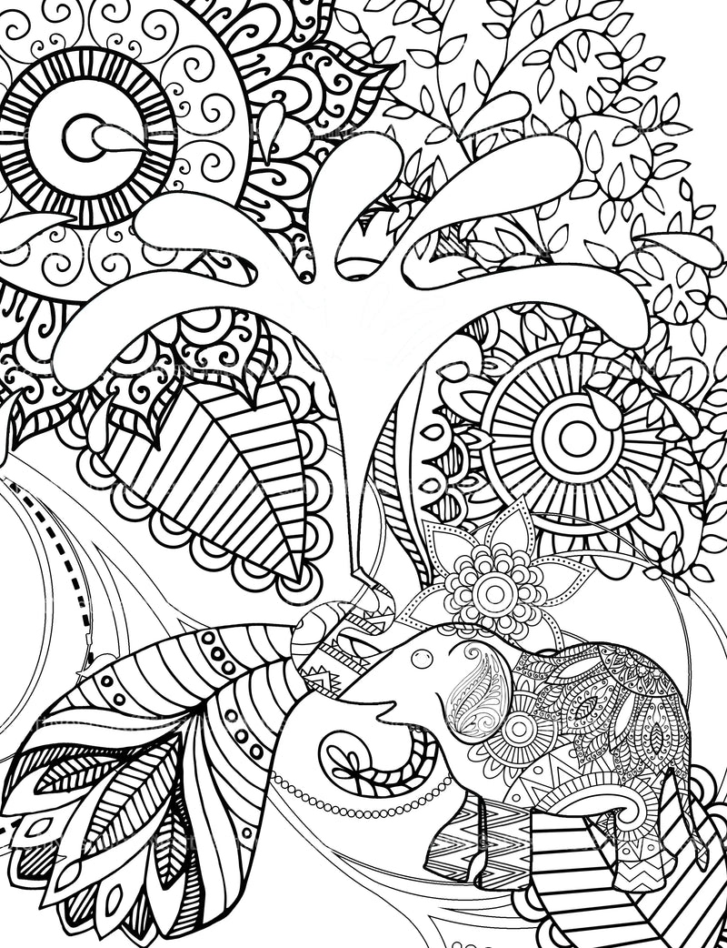 Colorist Heaven Animal Coloring Book - CraftNest - Digital Crafting and Art