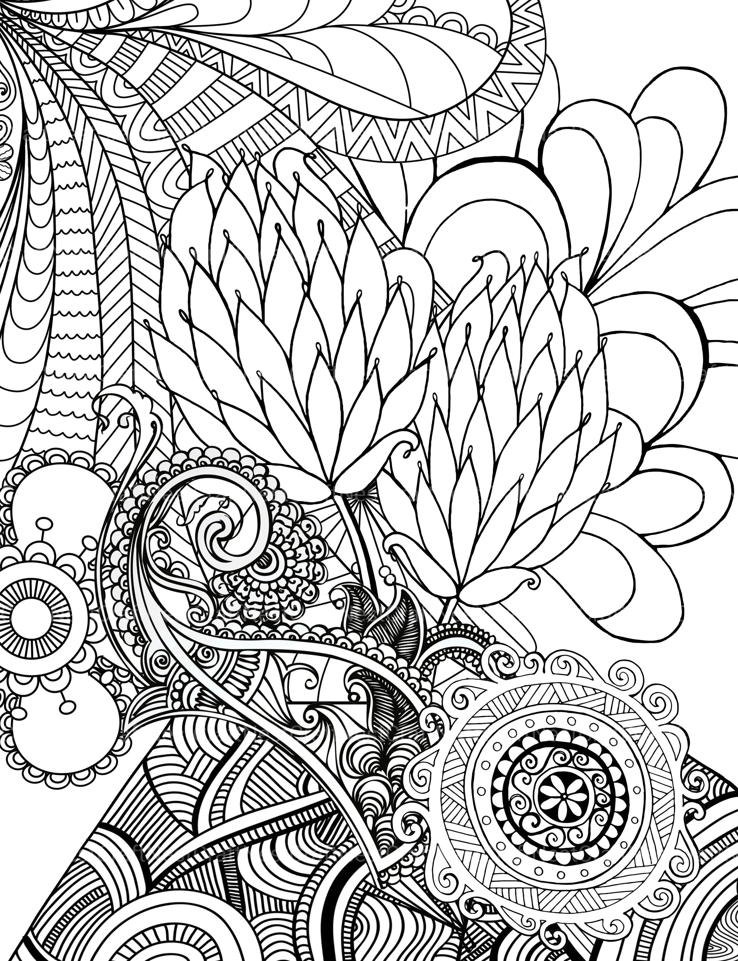 Colorist Heaven Flower Coloring Book - CraftNest - Digital Crafting and Art