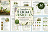 Complete Herbal Remedies Companion