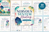 Nervous System Healing For Adults Workbook
