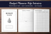 Budget Planner  Bundle from 100 Planner