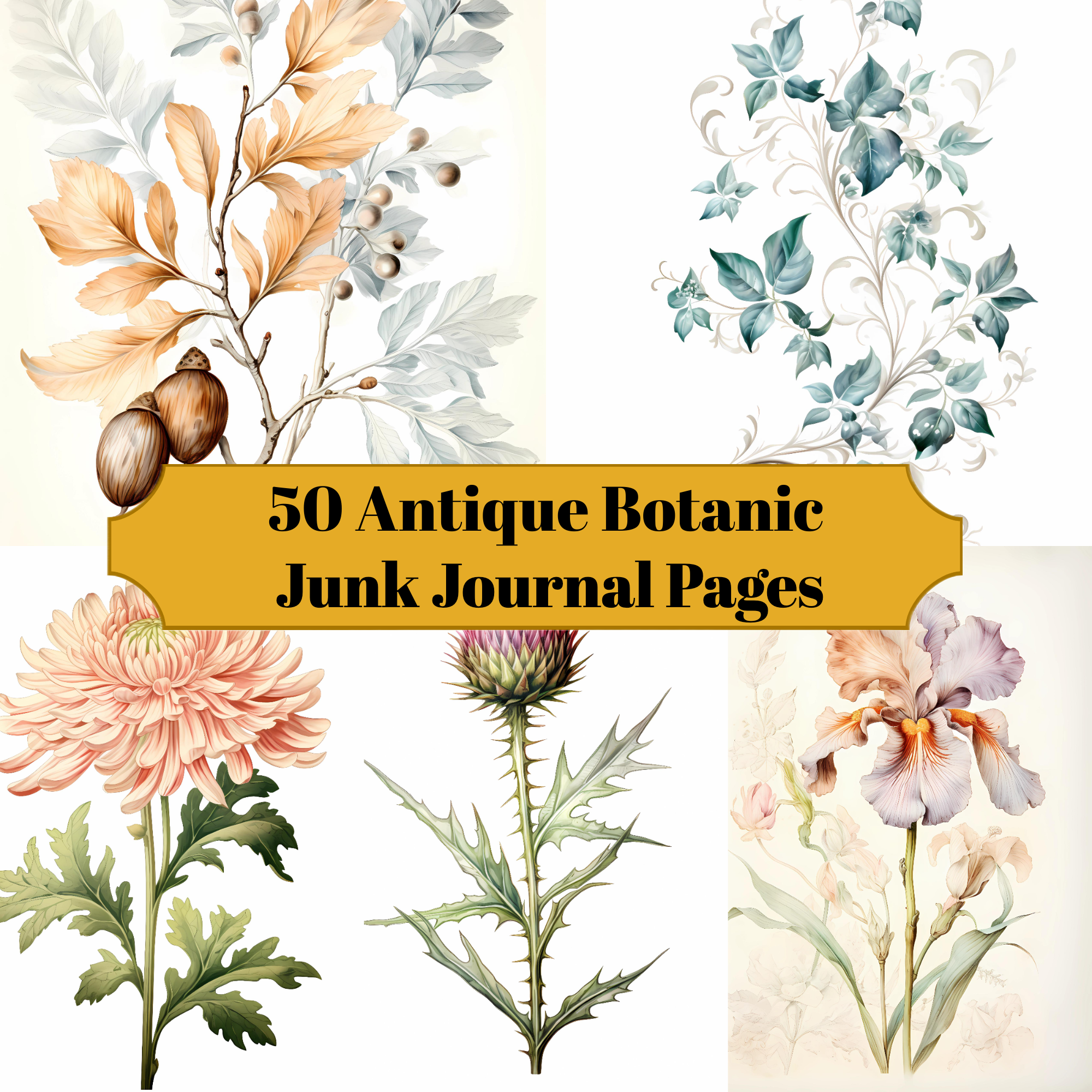 Antique Botanic Junk Journal Pages