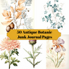 Antique Botanic Junk Journal Pages