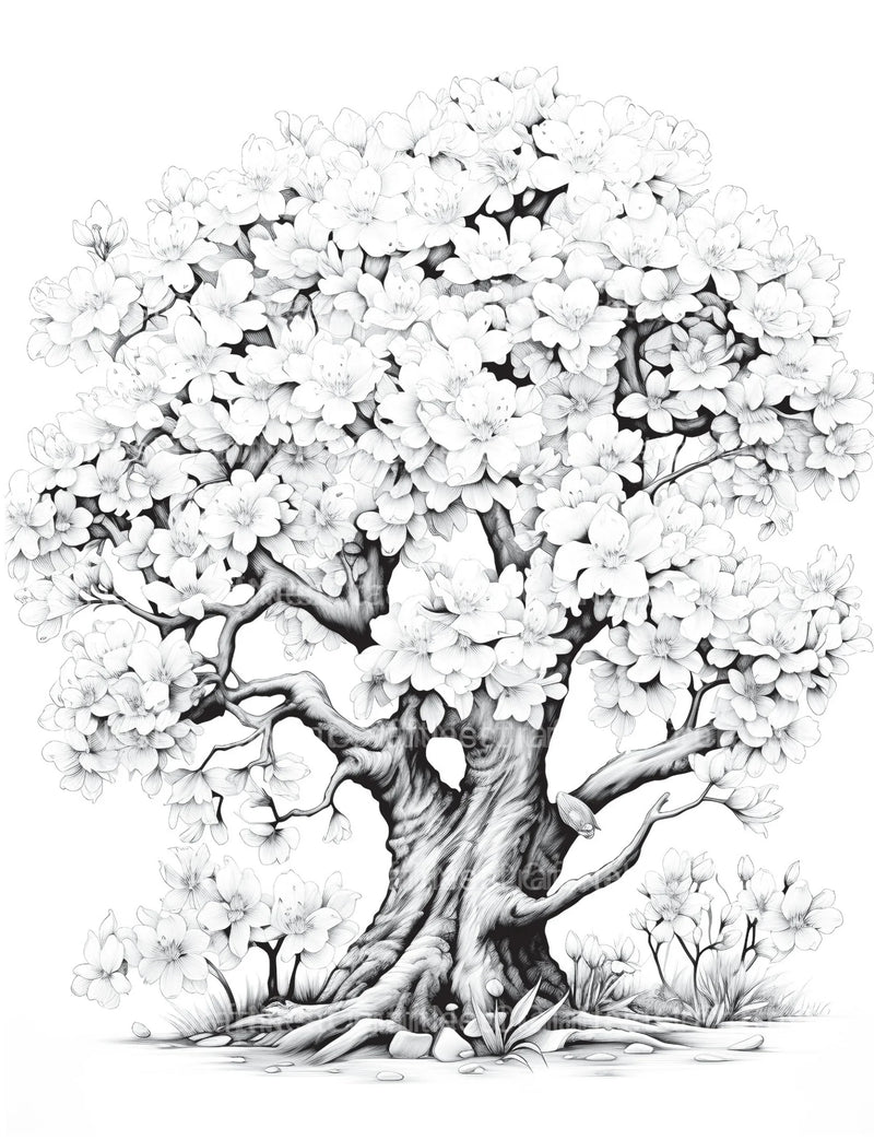 Blooming Tree Coloring Book - CraftNest - Digital Crafting and Art