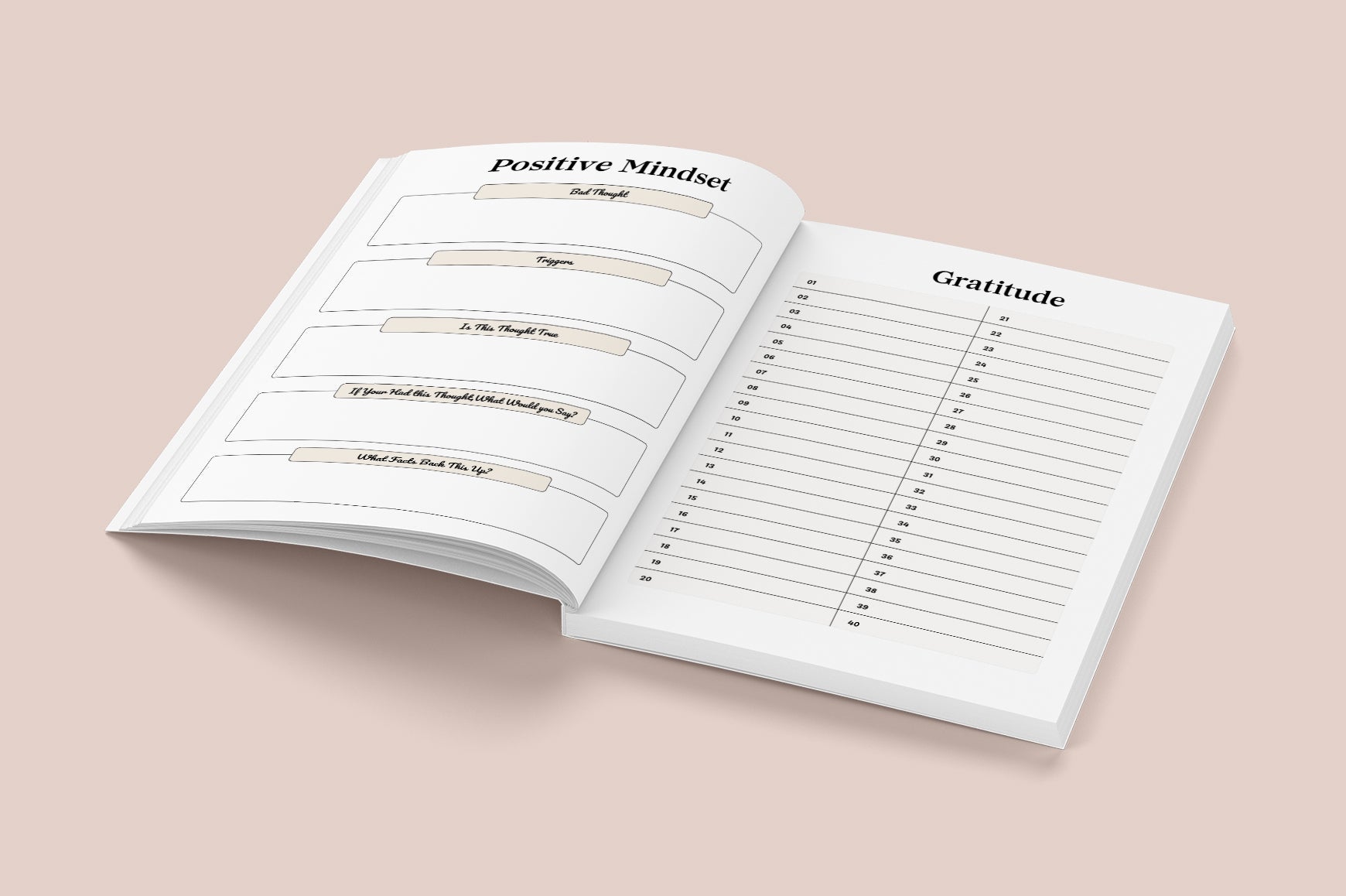 Bible Reflection Study Journal