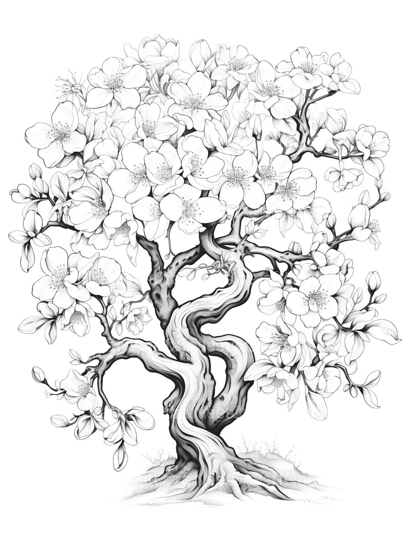 Blooming Tree Coloring Book - CraftNest - Digital Crafting and Art