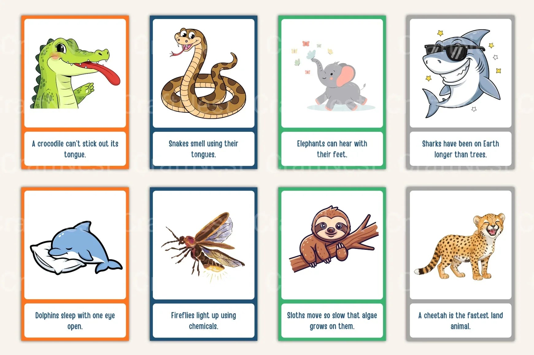 100 Fun Science Facts for Kids Flash Cards - CraftNest - Digital Crafting and Art
