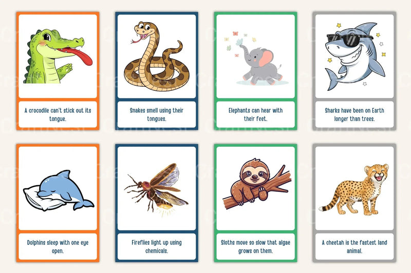 100 Fun Science Facts for Kids Flash Cards - CraftNest - Digital Crafting and Art