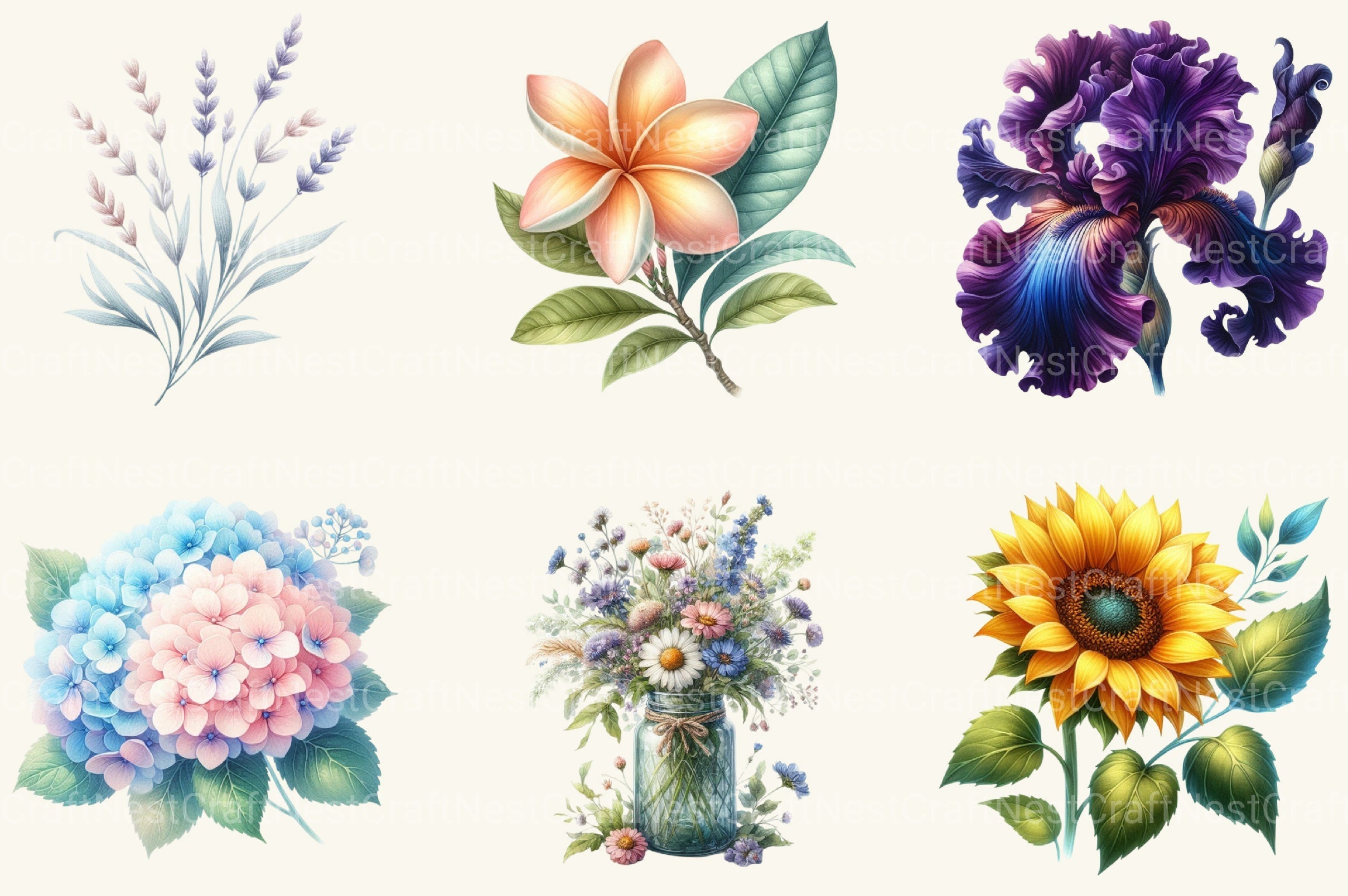 Summer Flower Clipart Bundle 2