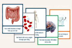 Science Facts for Kids: 100 Flash Cards - CraftNest - Digital Crafting and Art