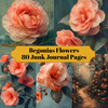 Begonias Flowers Junk Journal Pages