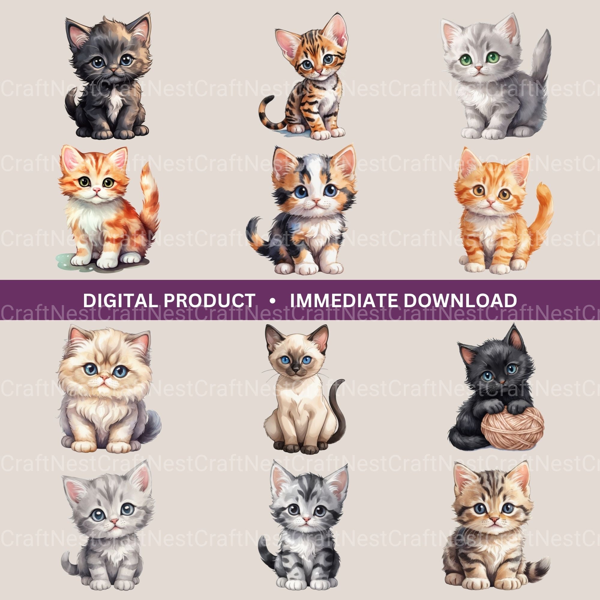 Kittens Clipart Bundle 5