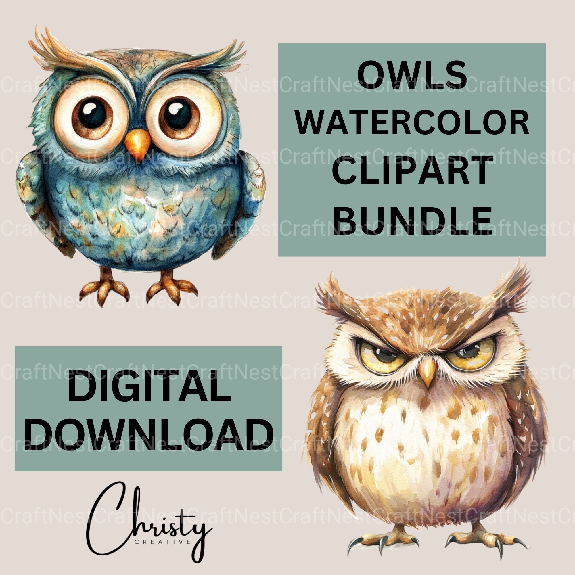Owls Clipart Bundle