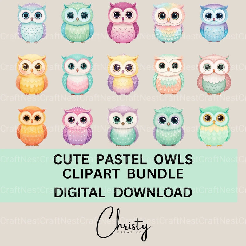Pastel Owls Clipart Bundle - CraftNest - Digital Crafting and Art