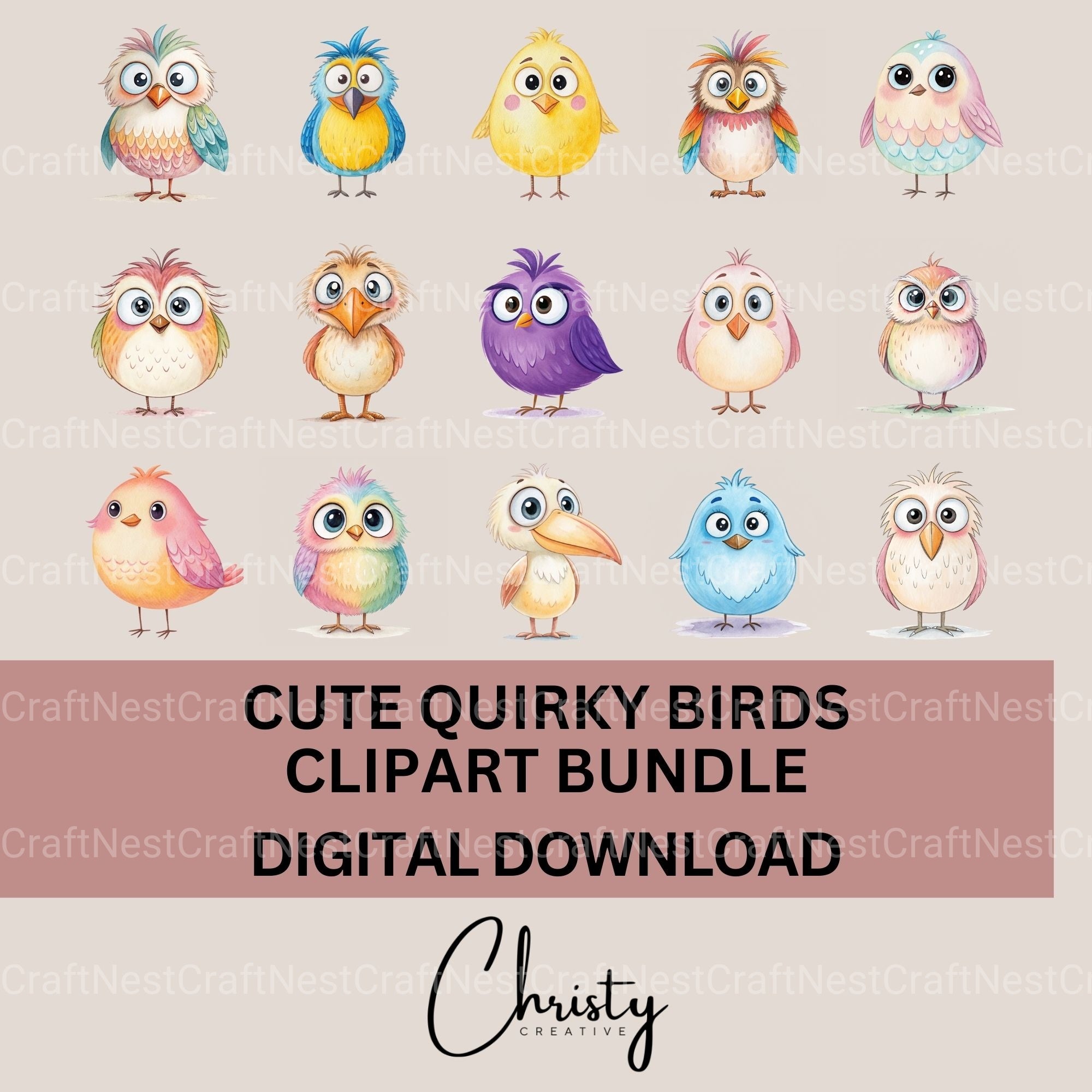 Quirky Birds Clipart Bundle